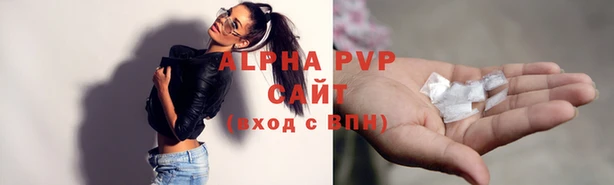 ECSTASY Новозыбков