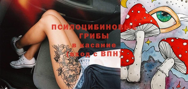 СК Няндома