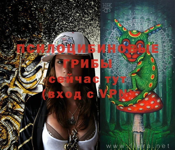 ECSTASY Новозыбков