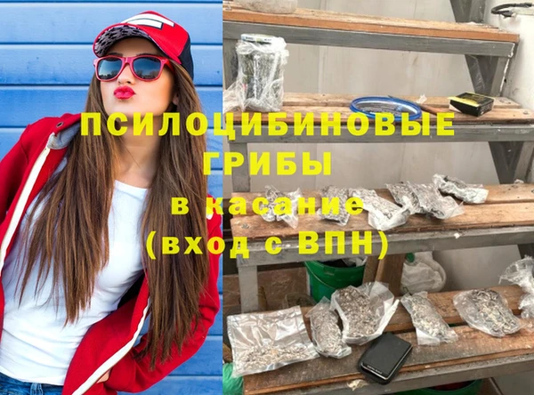 СК Няндома