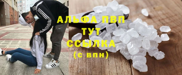 СК Няндома