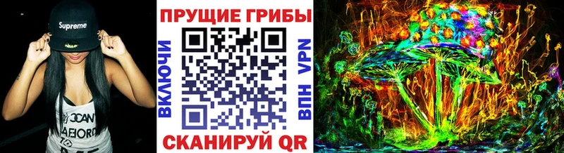 Псилоцибиновые грибы MAGIC MUSHROOMS  как найти закладки  Зима 