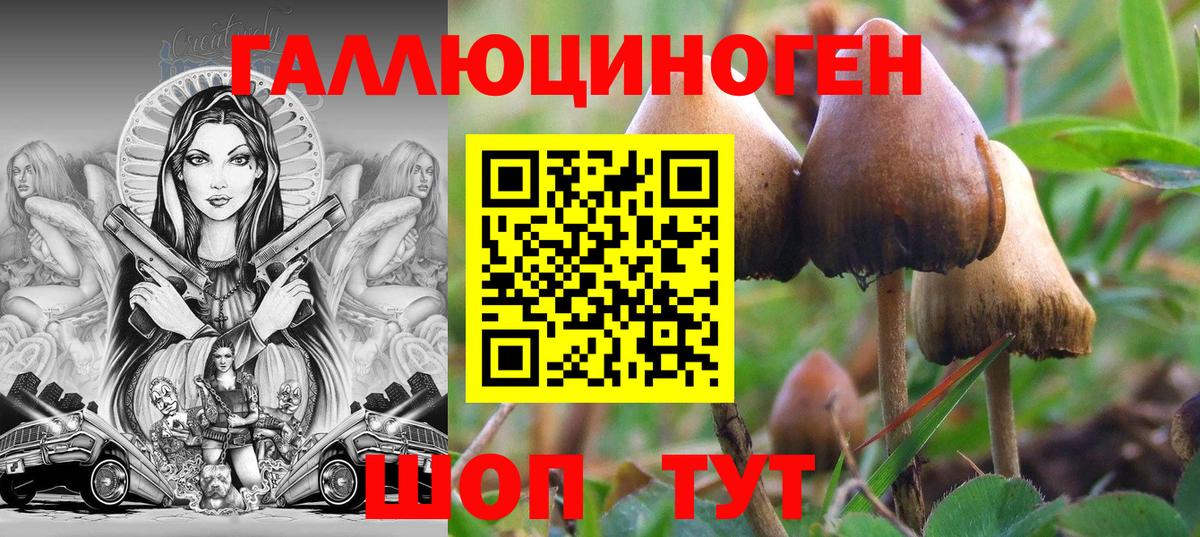 Галлюциногенные грибы Magic Shrooms Зима