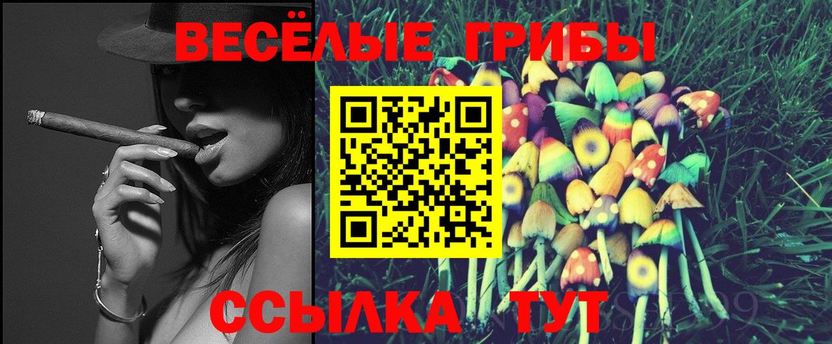 Псилоцибиновые грибы Psilocybe  Вход с VPN  Зима 
