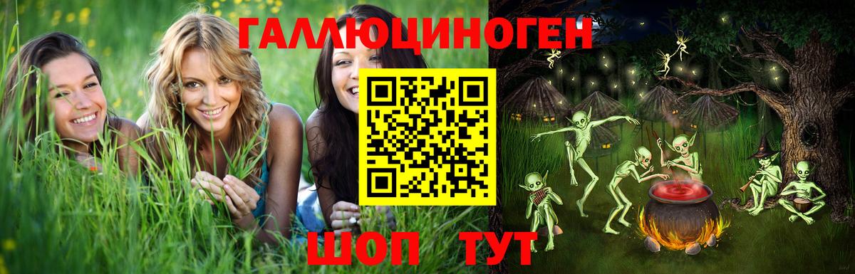 Галлюциногенные грибы GOLDEN TEACHER Зима