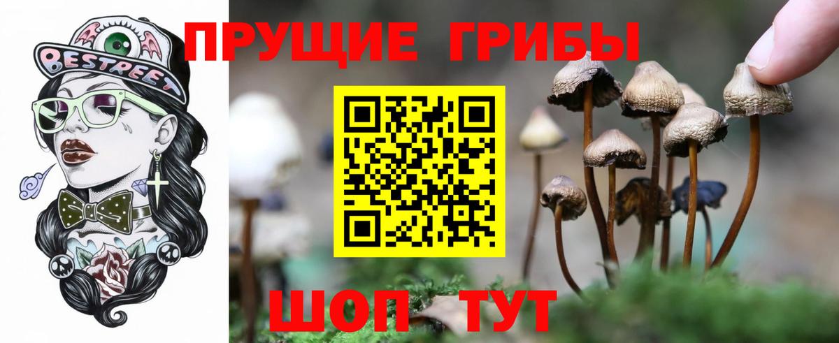 Галлюциногенные грибы GOLDEN TEACHER  Зима 